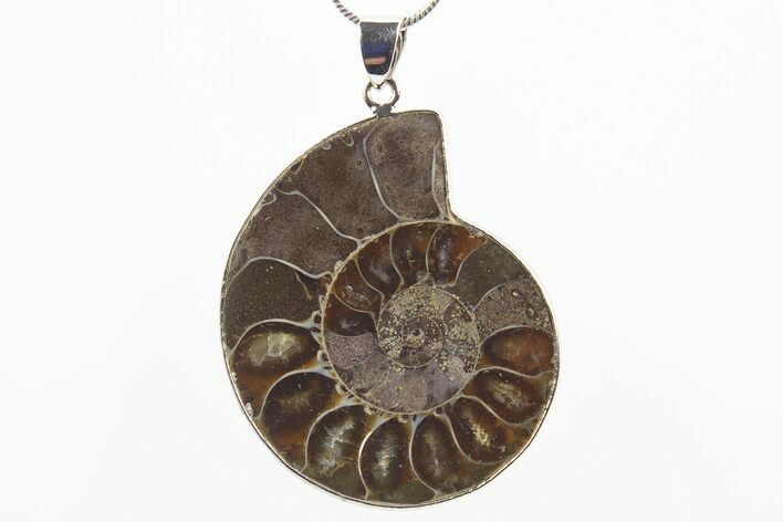 Fossil Ammonite Pendant - Million Years Old #306400